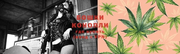 гашик Аркадак