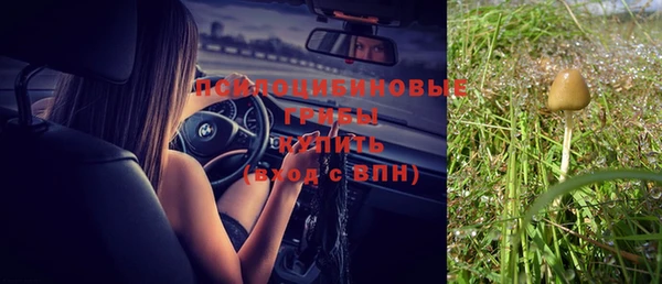гашик Аркадак
