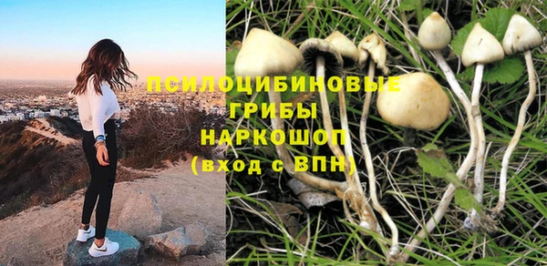 гашик Аркадак