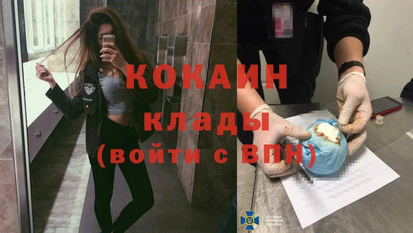 гашик Аркадак